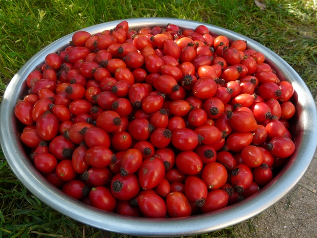 Šípek, Extra džem méně sladký