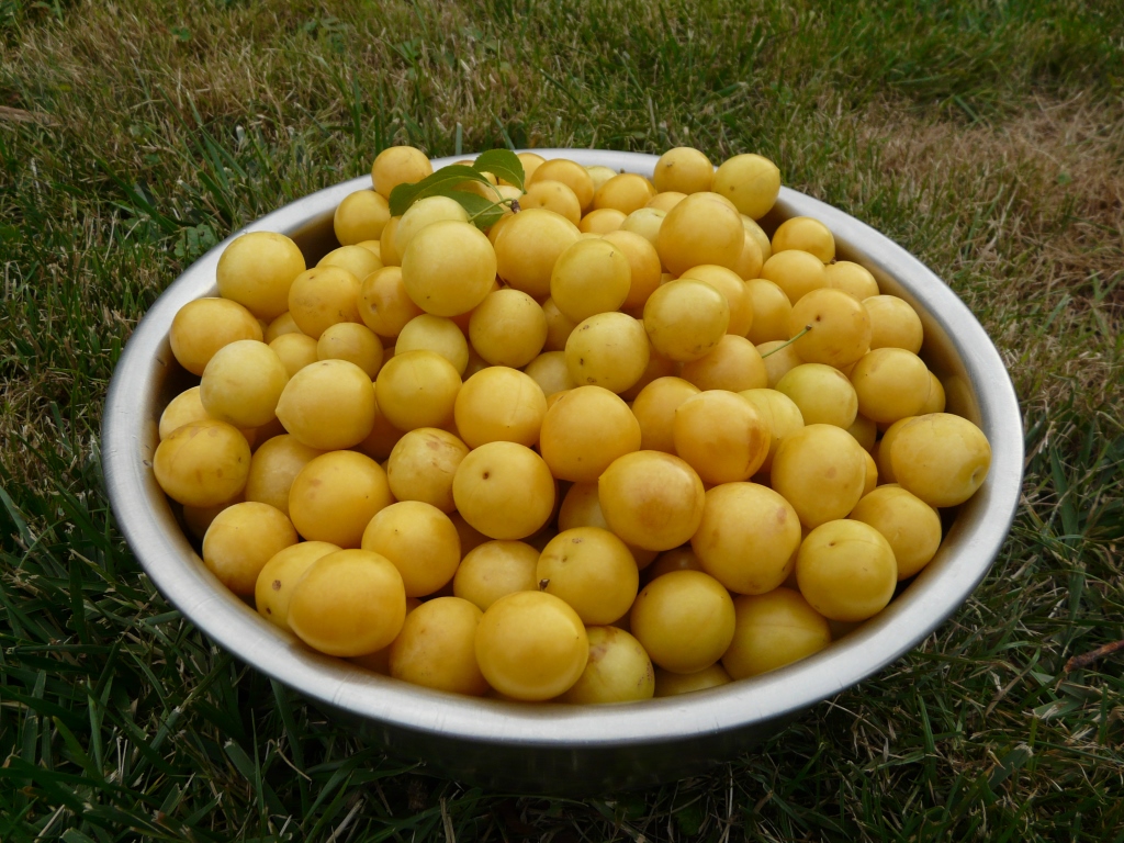 Mirabelky, Extra džem méně sladký